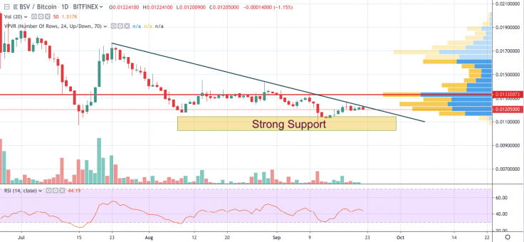 BSV/BTC 1-day chart