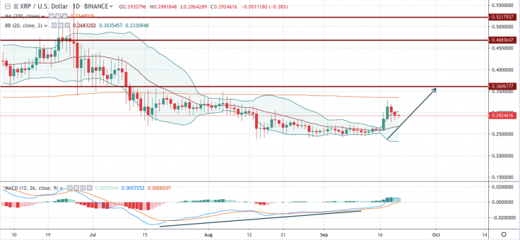 XRP/USD chart by tradingview