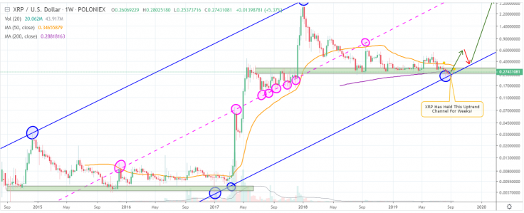RP should break resistance further